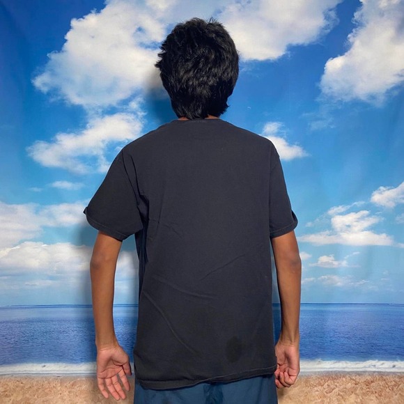 y2k hanes heavyweight led zeppelin large - Picture 2 of 4